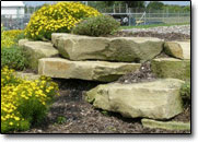 Outcropping in a waterfall setting.